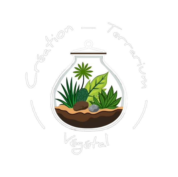 C.T.V - Création Terrarium Végétal